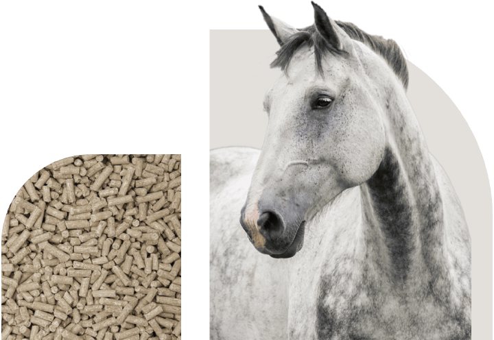 bild hoeveler sortiment pferdefutter mineralfutter